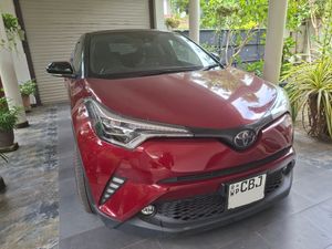 Toyota CHR NGX 10 2019 for Sale