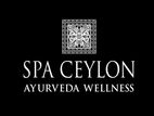 Trainee Ayurveda Therapists - Colombo 3