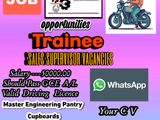 Traninee Sales Executive