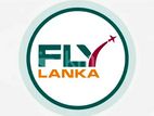 Travel Sales Executive