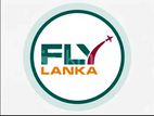 Travel Sales Executive