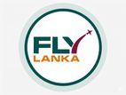 Travel Sales Executive