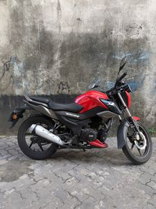 TVS Raider 125 2024 for Sale