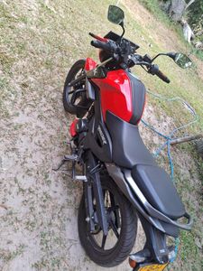 TVS Raider 125 2024 for Sale