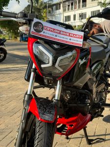 TVS Raider 125 2024 for Sale