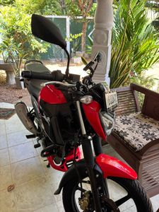 TVS Raider 125 2025 for Sale