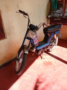 TVS Champ 2019 for Sale