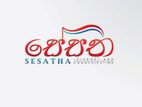 Typesetter Communication Assistant