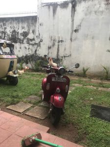 Vespa Primavera 150 2021 for Sale Vespa Primavera 150 2021 for Sale