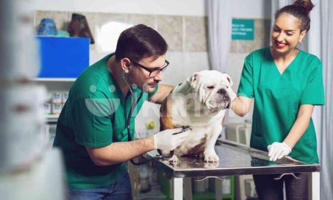 8325a377-1056-41ca-84f0-8b9810083d04