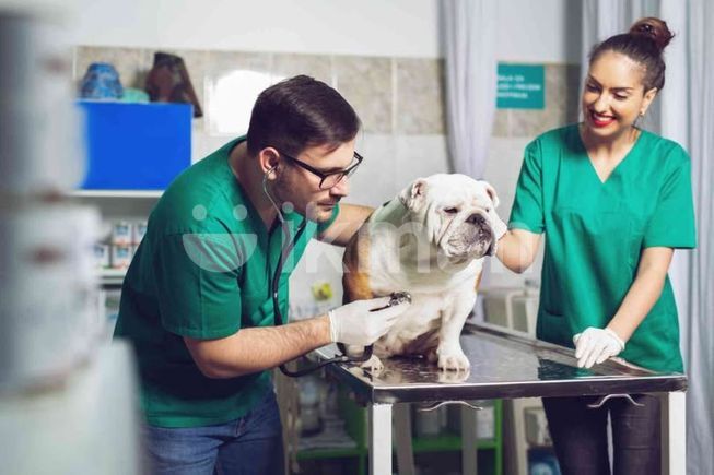 dfeac30f-b49d-47ec-8b4a-0cd0bc2e953a