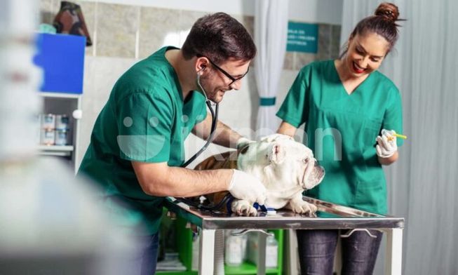 f4b755d7-d5a2-477c-9221-0dcbd03fb267