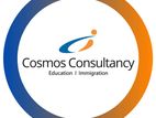 Visa Handling Officer - Cosmos Consultancy