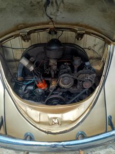 Volkswagen Beetle 1954 for Sale