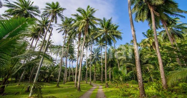 051c3a8a-3054-4556-a67e-abebc7f6ccc9