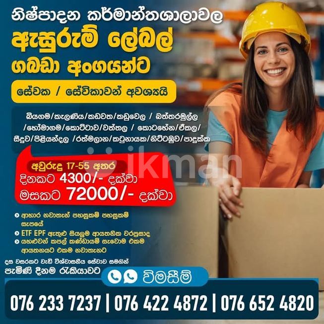 4f0d53c5-b5da-41d2-9261-43c751746979