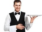 Waiter -Colombo 03