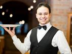 Waiter Cum Cashier - Qatar