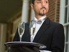 WAITER - Jaffna