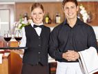 Waiters ( Male / Female ) - Kaduwela