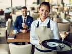 Waiters ( Male / Female ) - Matale