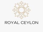WE ARE HIRING BUSINESS DEVOLOPMENT EXECUTIVE - MALE