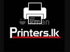 Web Developer
