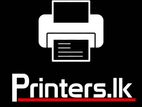 Web Developer - Kollupitiya
