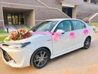 Wedding car kandy toyota axio hybrid