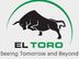 Work Shop Supervisor - Mechanical