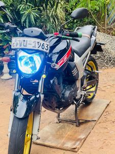 Yamaha FZ 1 2010 for Sale