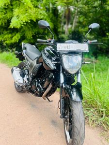 Yamaha FZ 2011 for Sale