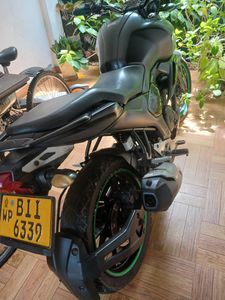 Yamaha FZ 2019 for Sale