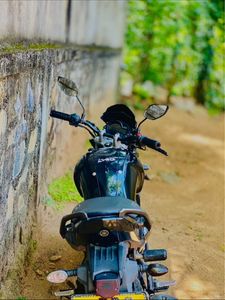 Yamaha FZ S FZ-S 2014 for Sale