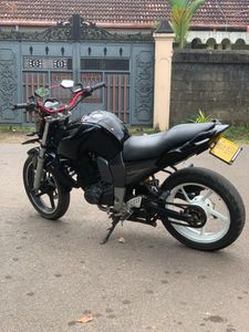 Yamaha FZ 2009 for Sale