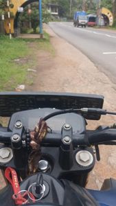 Yamaha FZS V3 2019 for Sale