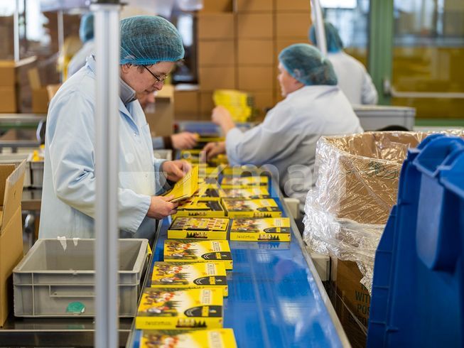 4e97d5fa-5c52-4826-810b-6c9bb004d199