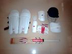 Cricket Set