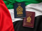 Visa Consultants