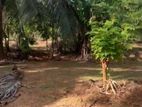 Udawalawa - Agricultural Land for sale