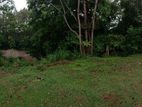 Udawalawa Tourism Zone Land with River