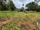Udawatta Paddy Field Facing 53.5 P Residential Bare Land For Sale