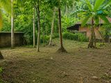 උඩුගම්පොළ - වීදියවත්ත ආසන්නයෙන් පර්චස් 40 ක වටිනා ඉඩමක් විකිණීමට