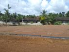 Udugampola Land For Sale