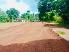 Udugampola Land for sale | Near the Main Road 500M