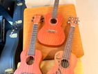 Ukulele