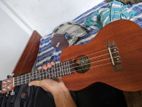 Ukulele