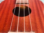 Ukulele