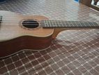 Ukulele