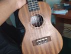 Ukulele Guitar